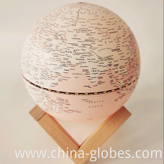 pink world globe light